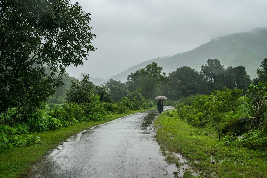 MP Sees 24% Excess Rainfall