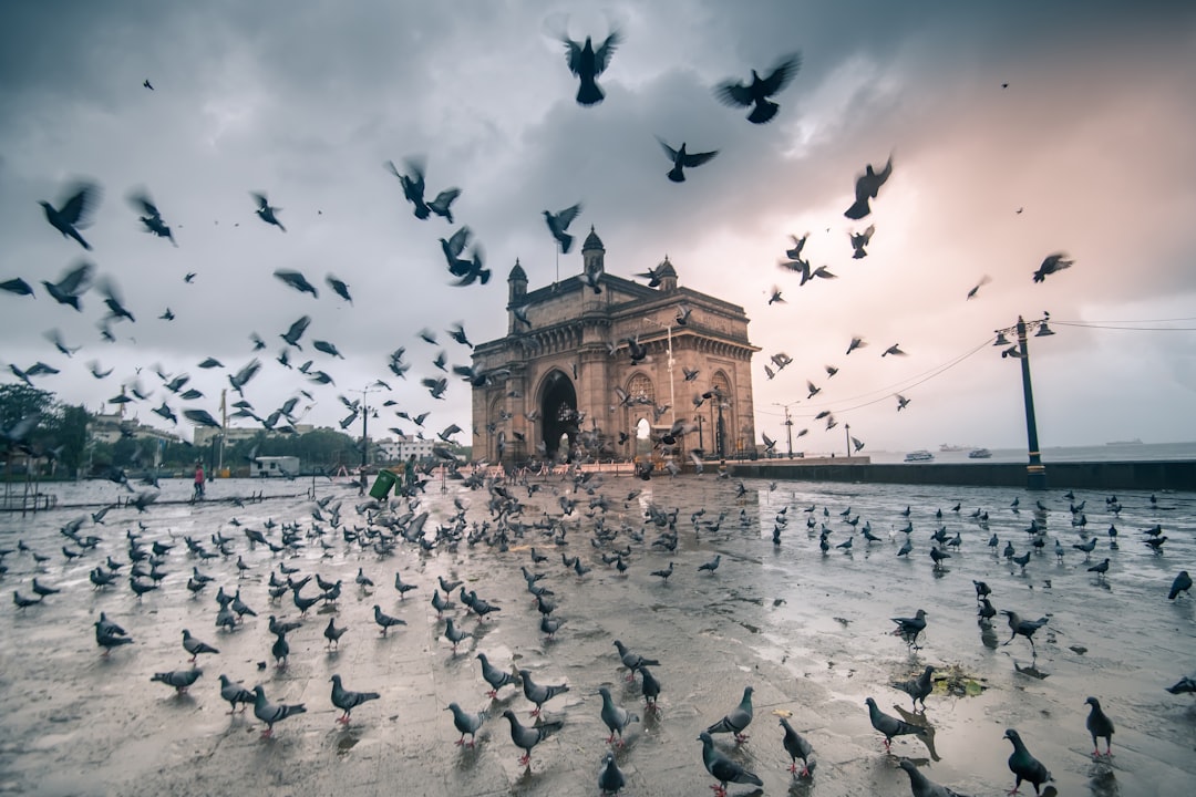 Bhopal Municipal Corporation Under Fire Over Waste Management and Civic Maintenance Delays