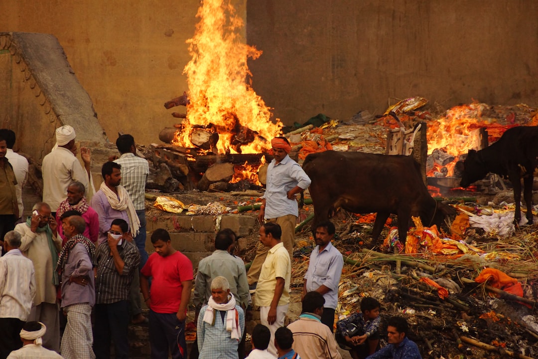 Major Fire Breaks Out at Bhopal Firecracker Shop; Authorities Launch Investigation into Safety Lapses