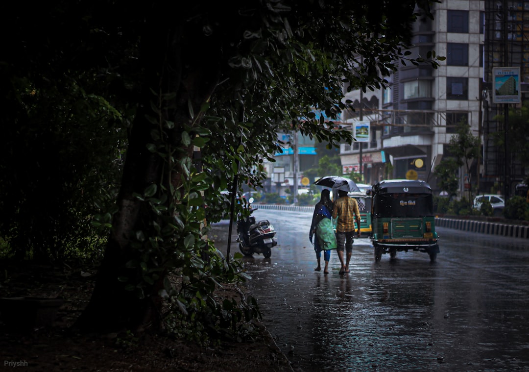 Monsoon Finally Reaches Bhopal: Heavy Rains Bring Relief After Nine-Day Delay