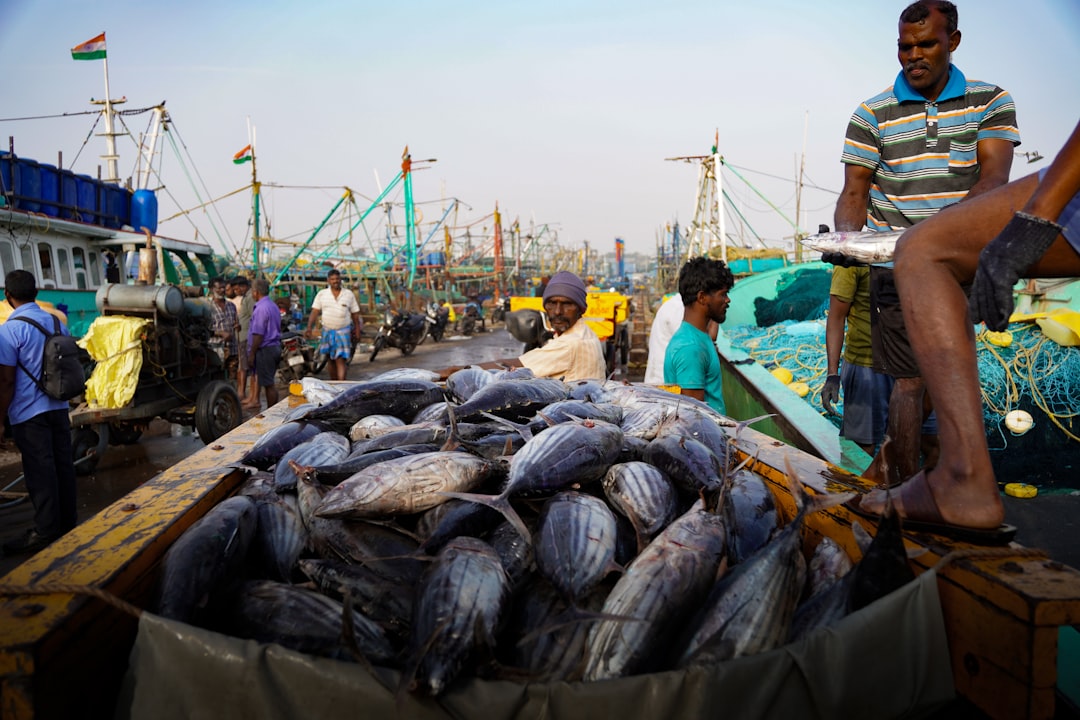 Hundreds of Fish Found Dead in Lower Lake; BMC and Pollution Control Board Launch Investigation
