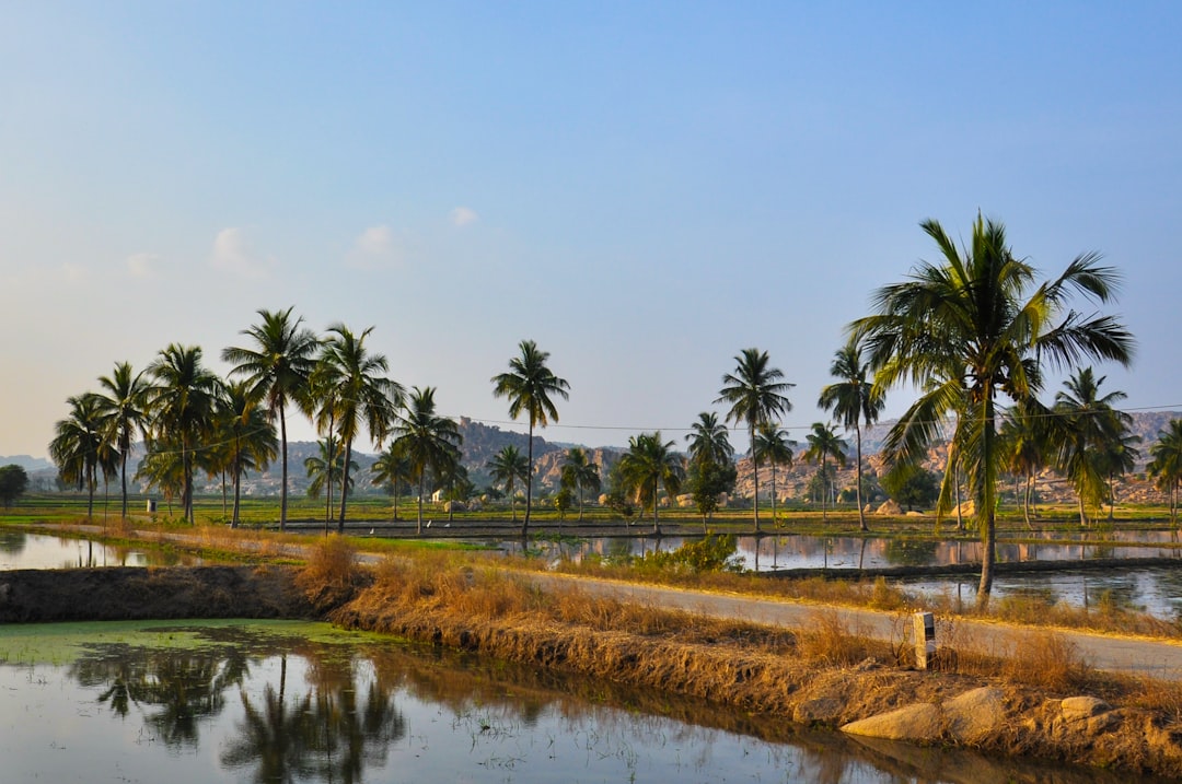 Residential Plot 2400 sq.ft, Bawadiya Kalan